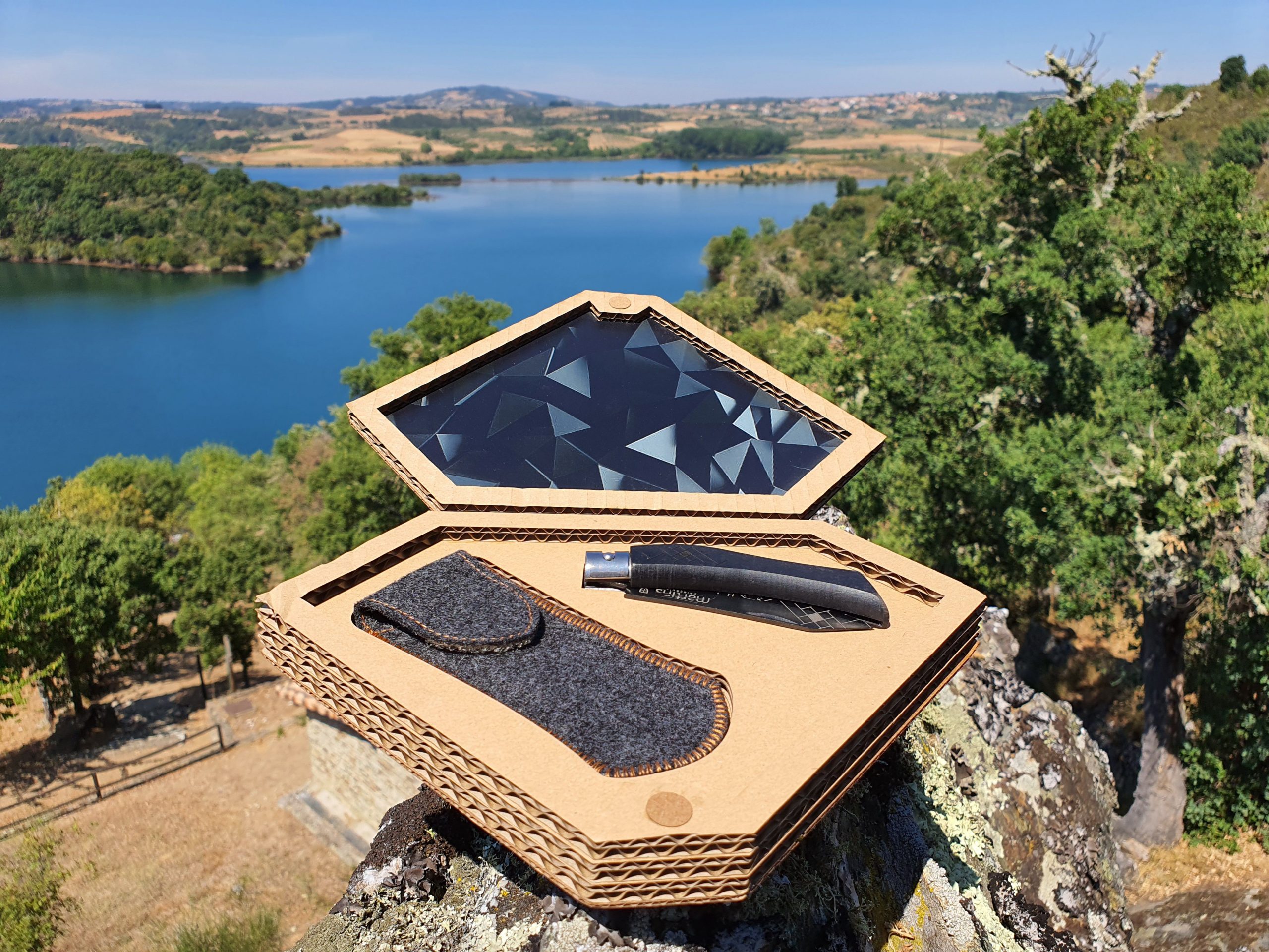 20200810_120917-scaled