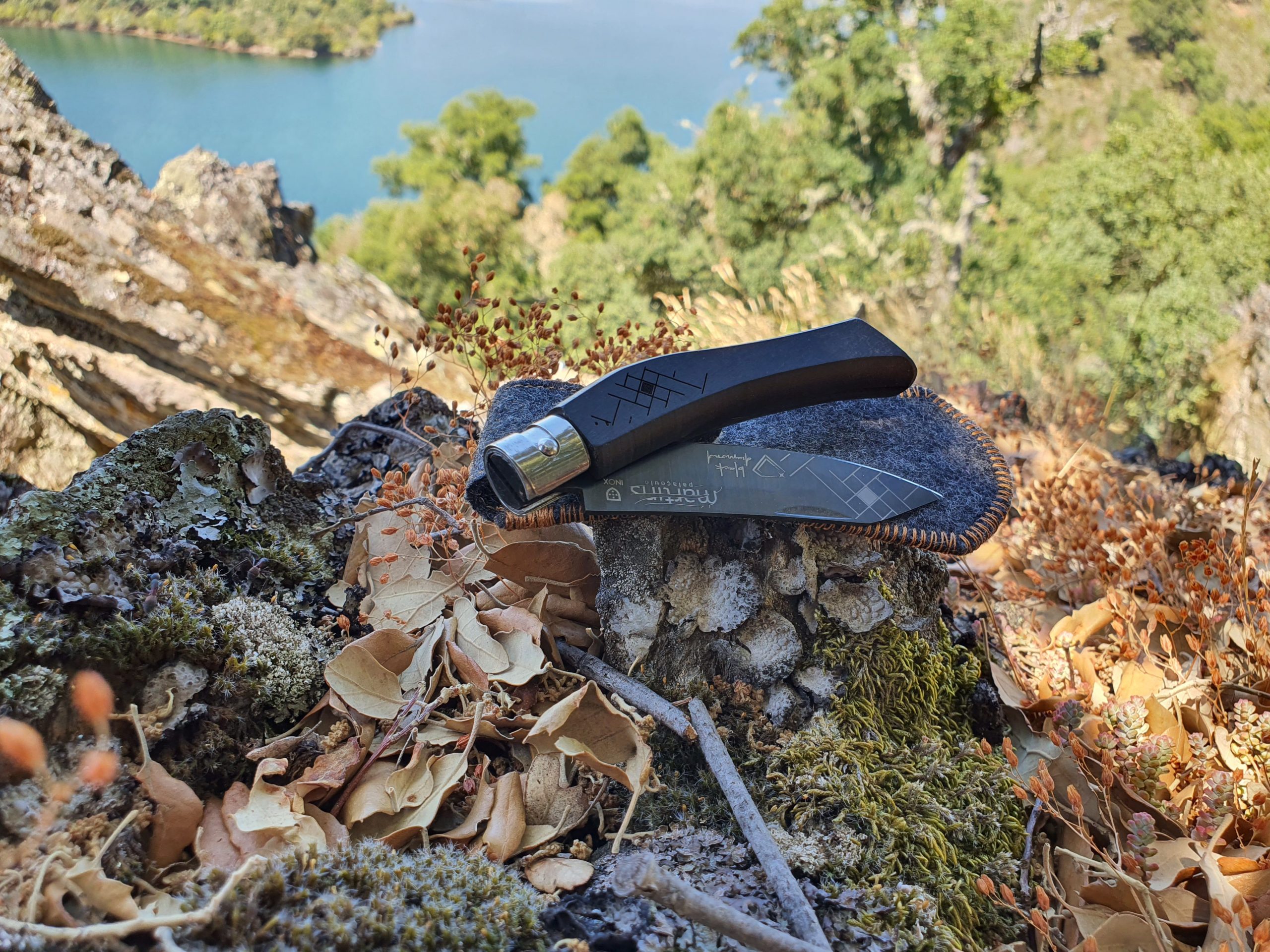 20200810_121952-scaled