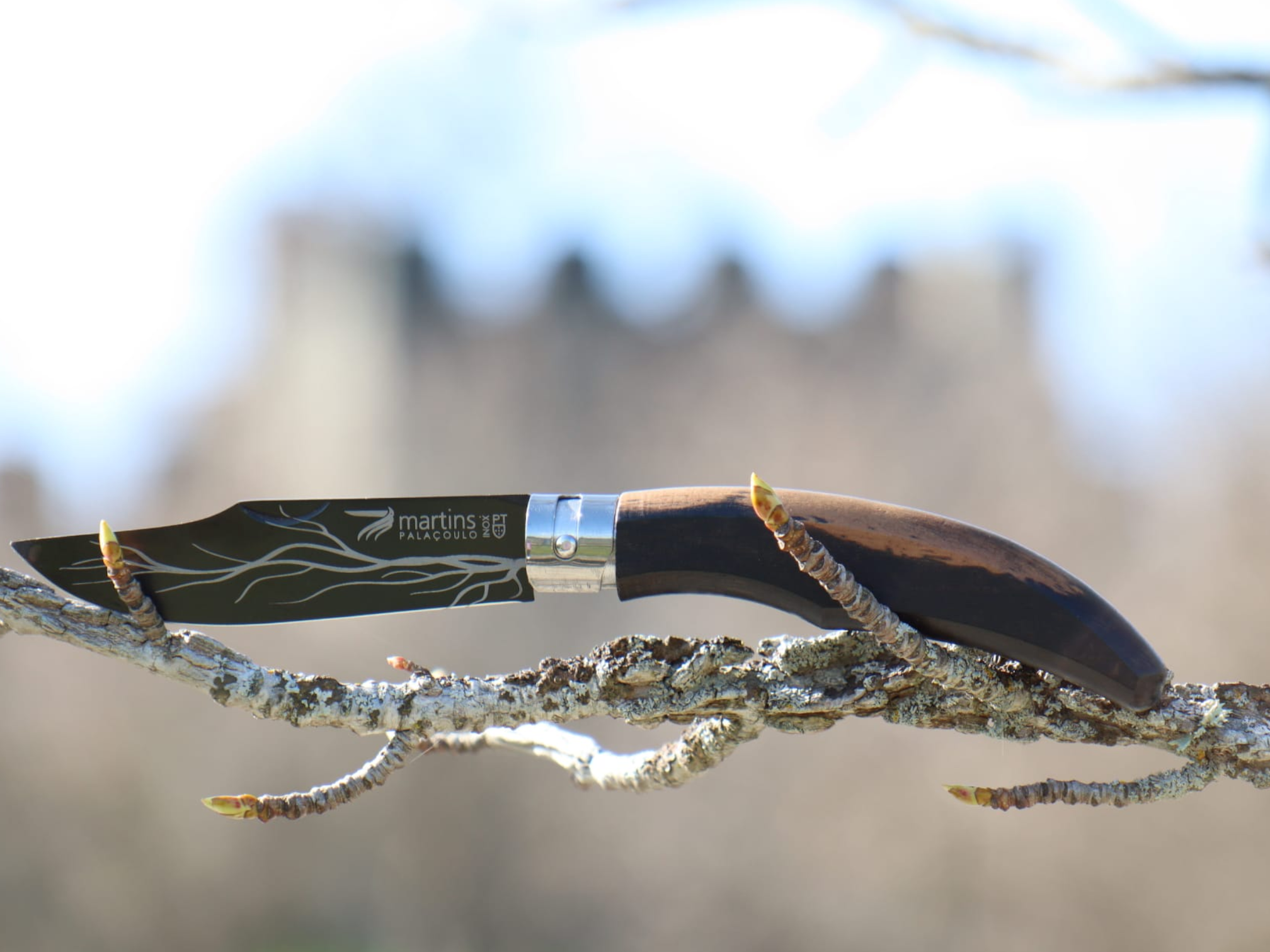 PhotoRoom-20210306_173644