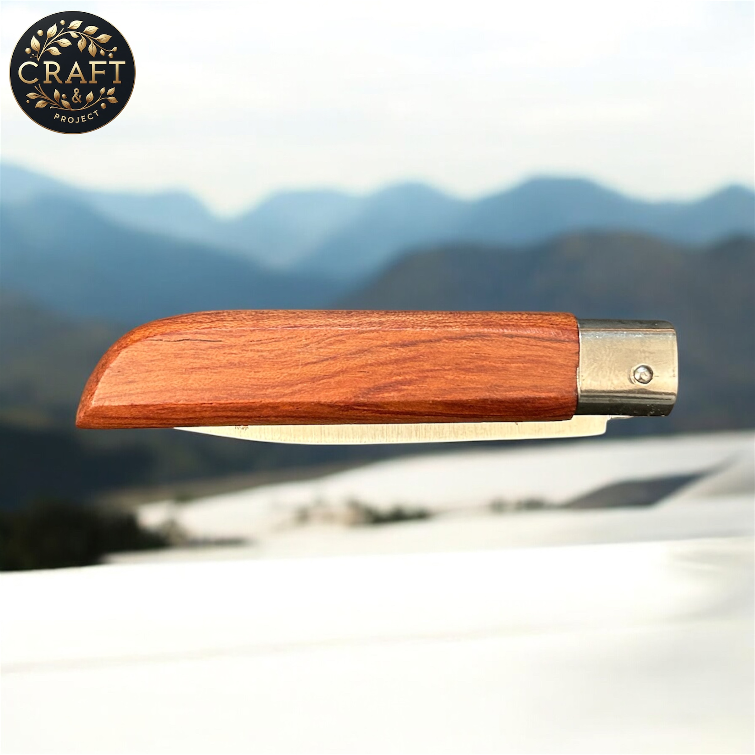 Photoroom_20241220_003558